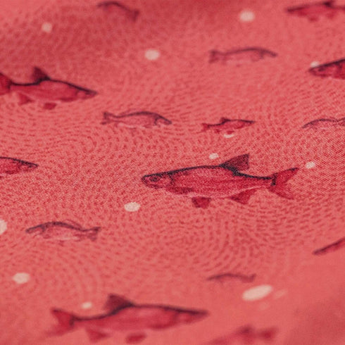 FISH BUBBLES CORAL